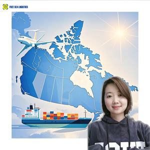 Tarifs les plus bas pour la logistique DDP, transitaire porte-à-porte, agent maritime de Chine vers le Canada, Vancouver, Montréal, Halifax - Product Image 3