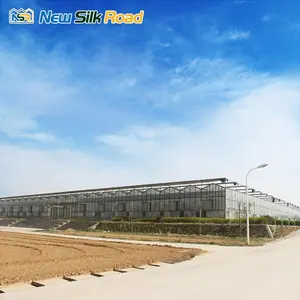 Invernadero de vidrio industrial NSR, invernadero agrícola multispan de alta calidad, económico, en venta