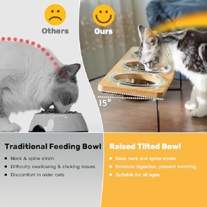 Bols portables écologiques surélevés pour chats, 15 bols inclinés pour aliments, comprenant 3 bols <span class=keywords><strong>en</strong></span> <span class=keywords><strong>verre</strong></span>, plateau <span class=keywords><strong>en</strong></span> bambou, support <span class=keywords><strong>en</strong></span> bambou pour chats et chiots - Product Image 5