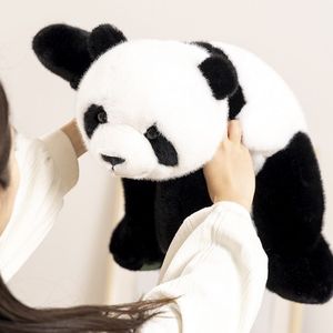 Peluche confortable en forme d'ours brun, panda, ours polaire de la boutique Doll <span class=keywords><strong>Tribe</strong></span>, jouet en peluche doux, simulation de poils, principalement en peluche douce, doublure en maille, mignon - Product Image 3