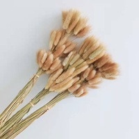 Ins热卖干兔/兔子尾草装饰/家居/婚礼插花INS