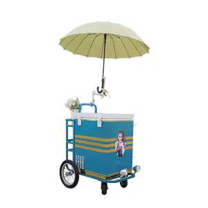 Mini elektrische gebrauchte Eis am Stiel Dreirad Lieferung Verkäufer Eis Fahrrad wagen Street Food Vending Fahrrad mit Gefrier schrank