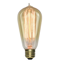 Ampoule Edison Vintage ST58 Cage d'Écureuil à Filament, Culot E27, Température de Couleur Multiple, Compatible AC/DC, Certifiée CE, CRI 80-90