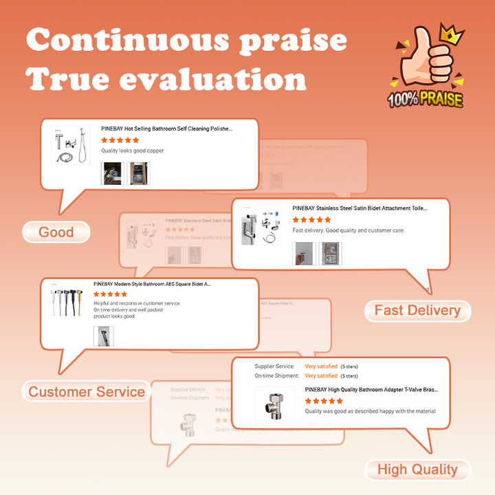 PINEBAY New Trend Bathroom Handheld Toilet Bidet Sprayer Set Woman