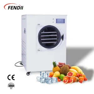 Vacuum fd-50 Honey 6-8 kgFreeze Dryer Gmp Pilot Food Drying Machine