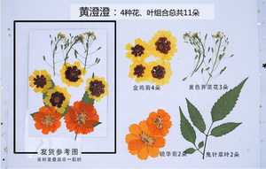 Pétales de fleurs séchées pour <span class=keywords><strong>ongles</strong></span>, 100 pièces, naturelles, pour bricolage, bougie, bijoux, pendentif artisanal, fabrication de décor artistique - Product Image 5