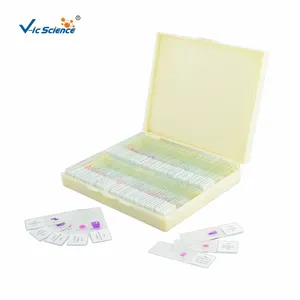 Hot Koop Human Pathologie Slides Medische Microbiologie Biologische Microscoop Bereid Dia Set 100Pcs