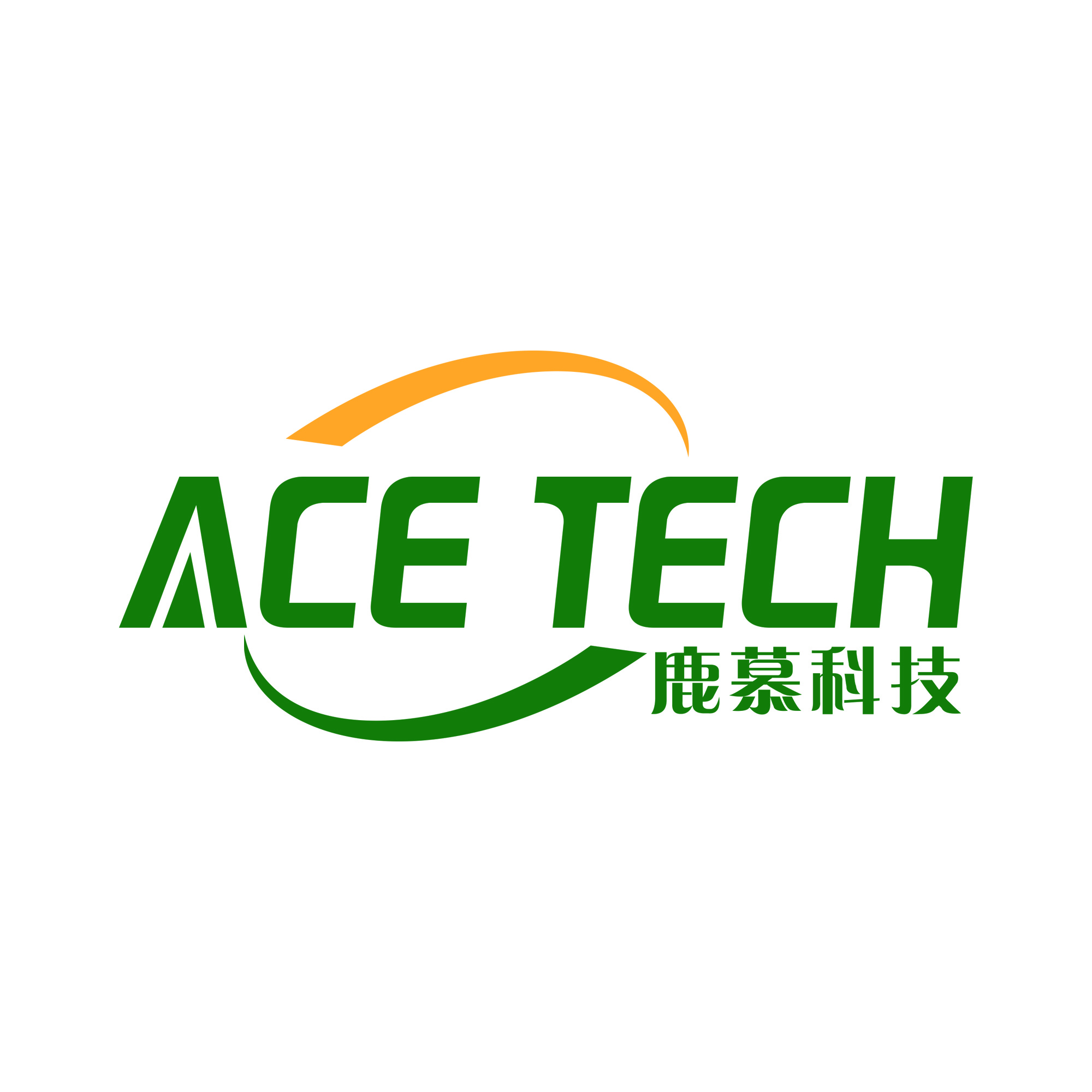 Anhui ACE Tech Co., Ltd. logo