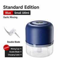Mini Elektrische Knoflookblender 250ml Draagbare Voedselhakselaar RVS Messen Keuken Groothandel