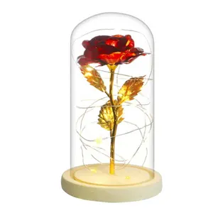 Kunstmatige Rose Romantische Gift 24K Goud Folie Bloemen Met Verlichting In Glas Dome Moederdag Valentijnsdag Verjaardag gift