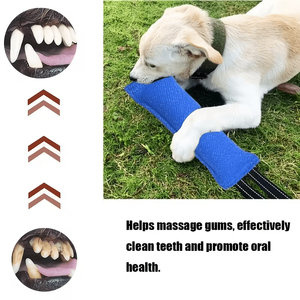 Juguete <span class=keywords><strong>de</strong></span> Cuerda Resistente para Perros, Algodón Duradero, Almohada <span class=keywords><strong>de</strong></span> Mordida Resistente, Correa <span class=keywords><strong>de</strong></span> Tira y Afloja para Perros Pequeños y Medianos, Juguete <span class=keywords><strong>de</strong></span> Entrenamiento para <span class=keywords><strong>Cachorros</strong></span> - Product Image 5