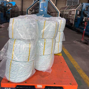 Venta al por mayor 3 Strand 6Mm 8Mm Polipropileno Plástico Poli Langosta Cuerda Twist PP Cuerda de Embalaje - Product Image 6