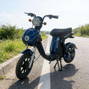 Trottinette électrique avec roue de 16 pouces, moteur arrière sans balais 48V 500W/800W, affichage numérique à 3 vitesses, batterie au plomb-acide/lithium, pour adultes - Product Image 2