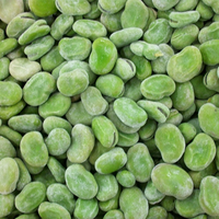 Qualité certifiée en usine Fava congelée IQF saine 100% Haricots frais Fava congelés à vendre