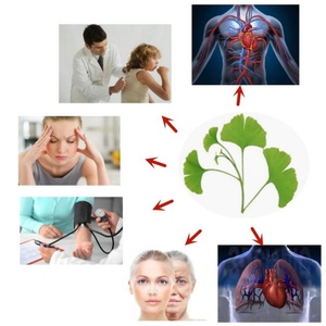 Extrait de Ginkgo Biloba Biologique en Poudre – Stimulant Immunitaire et Cognitif – Bouteille, Fût ou Récipient en Verre – 100% Soluble dans l'Eau - Product Image 5