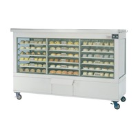 Vitrine chauffante mobile en acier inoxydable avec porte vitrée, pour aliments, à gaz, thermostat réglable, certifiée CE, finition brossée