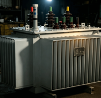 Transformator Daya Terendam Minyak Hemat Energi Seri S11, Transformator Step Down untuk Pemasangan Tiang Luar Ruangan