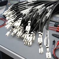 Kabel Harness Tunggal Kustom dengan Terminal Crimp Spade & Pelindung Isolasi Transparan untuk Koneksi Internal Peralatan Rumah Tangga