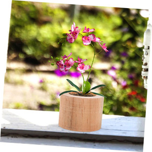 <span class=keywords><strong>Mini</strong></span> <span class=keywords><strong>Pot</strong></span> de fleur en bois <span class=keywords><strong>Pot</strong></span> de plante d'intérieur pour plantes succulentes Jardinière décorative rustique Design minimaliste - Product Image 3