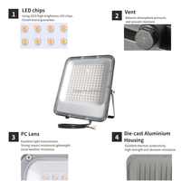 Projecteur LED extérieur RONSE IP65 étanche 30 Watts 220 Volts à large faisceau 90° °   Projecteur LED à angle de faisceau large