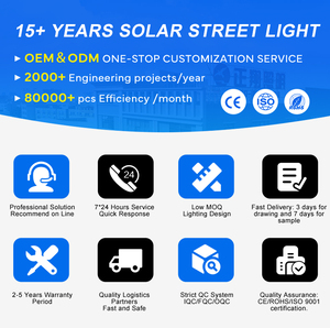 Nuova Lampada da Giardino <span class=keywords><strong>a</strong></span> LED Solare in Alluminio IP65 Impermeabile con Sensore di Luce - Product Image 6