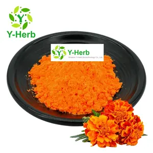 Pigmen warna dapat dimakan alami ekstrak bunga Marigold bubuk Lutein untuk industri permen pigmen Lutein besar