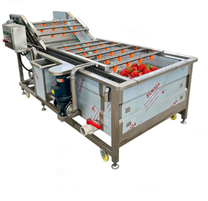 Máquina Automática de Lavado por Burbujas con Diseño de Impacto de Agua y Burbujas de Alta Presión para Talleres de Procesamiento de Alimentos - Product Image 1