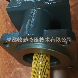 Bomba de engranajes Kracht Kf100 de 1 etapa, bomba hidráulica rotativa de hierro fundido con accionamiento por motor - Product Image 1