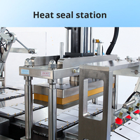 Machine d'emballage sous blister automatique personnalisée HIPAI CE, machine de scellage de cartes blister, fabricant de machines d'emballage sous blister pour pilules