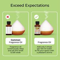 Huile de parfum à l'huile d'ambre professionnelle 30 ml pour bougies de parfum diffuseur aromathérapie 1 floz huile de parfum