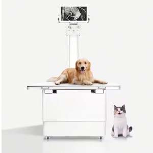 2024 precisión caliente grado profesional veterinario médico DR rayos X portátil 32KW 56KW EQUIPO DE Hospital máquina de rayos X para mascotas Fatali - Product Image 1