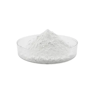 Factory Supply High Quality 99% Rutile /Anatase Titanium Dioxide White Pigment Used For Plastic Ink And Rubber