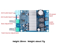 Carte d'amplification de subwoofer TPA3116D2, amplificateur audio numérique mono DC 12-24V, carte d'amplification de puissance pour l'audio domestique, les haut-parleurs de voiture, le bricolage