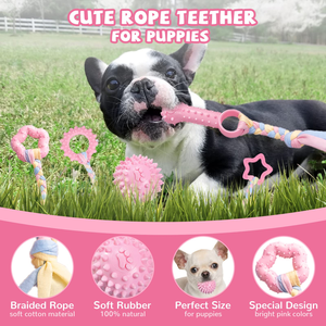 Hot Sale Eco Friendly Cute Chew Toys Durable Pet Toy Teething Chew Toys Pet Supplies - Product Image 6