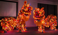 Costume de danse du lion du sud de la Chine lumineux à LED RGB, rechargeable, pour spectacle de Nouvel An et carnaval