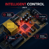 Alimentation à découpage 75W LRS-75 12V 24V 48V AC DC, adaptateur secteur industriel pour bande LED, caméra CCTV, prix usine OEM personnalisé