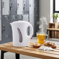Bouilloire électrique miniature personnalisable de 1 L, fabrication directe, portable, petite bouilloire à eau, plastique PP sans BPA, OEM