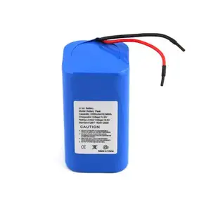 Evolutioncells 범용 전원 배터리 팩 ICR18650-4S1P 14.8V 2200MAH 휴대용 DVD 플레이어 배터리