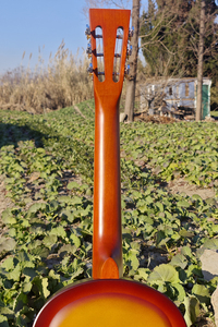 <span class=keywords><strong>Guitare</strong></span> résonnante à cône unique Aiersi, corps en laiton couleur soleil, trous de son Duolian F - Product Image 6