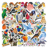 50 autocollants en vinyle imperméables à l'eau sur le thème des oiseaux, pour décorer ordinateur portable, guitare, bagages, pour adolescents et adultes