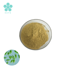 مسحوق مستخلص من مكملات غذائية طبيعي بنسبة 100% من يوجلينا - Product Image 2