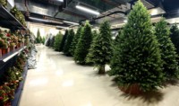 Arbre de Noël en cèdre réaliste et écologique de haute qualité avec base de support, vente en gros directe d'usine 2026