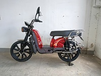 Trottinette électrique 1000W, batterie au plomb 48V 60V, trottinette électrique urbaine personnalisable en couleur