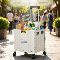 Chariot utilitaire à roulettes en PP robuste et personnalisable pour la cuisine et l'extérieur, écologique, capacité 45/65L, chariot pliable pour le rangement