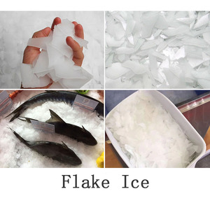 Máy Làm Đá Vảy cho thực phẩm thủy sản 800kg Máy Làm Đá Vảy - Product Image 3