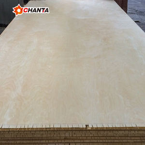 <span class=keywords><strong>Madera</strong></span> Contrachapada de Abedul Laminada de 2mm a 18mm, Resistente al Agua, Precio de Fábrica, <span class=keywords><strong>Buena</strong></span> Fabricación - Product Image 4
