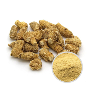 Extrait de ginseng américain Panax |   Panax Quinquefolius |   Ginsénosides 5%~98% – Soutien Cognitif et Immunitaire – Poudre en Vrac Personnalisable - Product Image 3