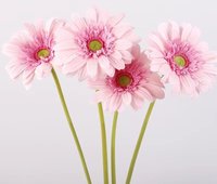 Bunga Gerbera Daisy Buatan Multi-warna Tangkai Tunggal, Bunga Daisy Afrika Palsu untuk Dekorasi Vas Meja Rumah & Pernikahan Grosir