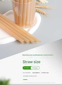 Pajitas de Pulpa de Caña de Azúcar Minimalistas para Fiestas, Desechables, Totalmente Clásicas, Biodegradables, Ecológicas, Paquete de 500 Unidades, Varios Tamaños, Sin Residuos - Product Image 6