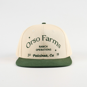 Gorra Snapback de Algodón y Sarga con Bordado Personalizado de Fábrica China al por Mayor, Gorra de Visera Plana Unisex Informal para MOQ Bajo - Product Image 5